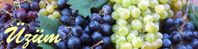 üzüm tarifleri