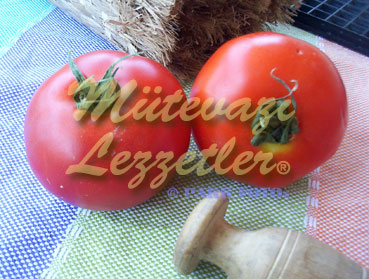 Yumurtalı Pamidor Dolması