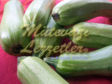 Pendirli Balqabaq Ogrətən